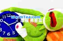 摩根 弗里曼