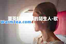 萧亚轩最熟悉的陌生人-歌词