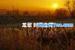 龙歌 时间之河
