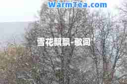 雪花飘飘-歌词