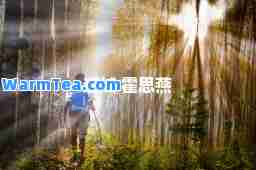 迷城 霍思燕