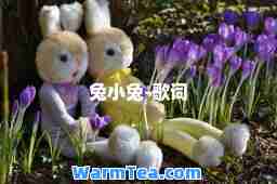 兔小兔-歌词