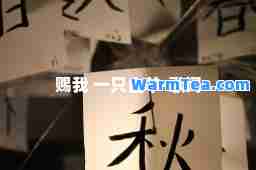 赐我 一只白羊-歌词