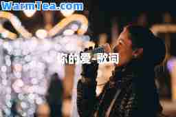 你的爱-歌词