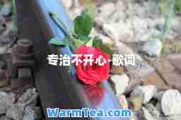 专治不开心-歌词