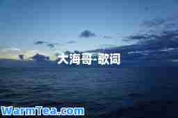 大海哥-歌词