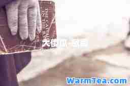 大傻瓜-歌词
