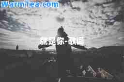 就是你-歌词
