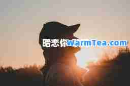 暗恋你-歌词