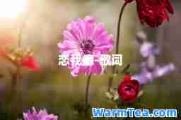 恋我癖-歌词