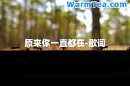 原来你一直都在-歌词