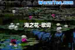 海之花-歌词