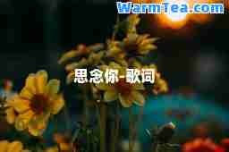 思念你-歌词