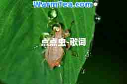 点点虫-歌词