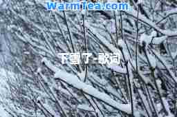 下雪了-歌词