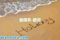 放得开-歌词