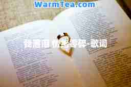 我落泪 情绪零碎-歌词