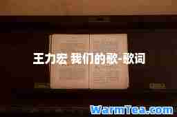 王力宏 我们的歌-歌词