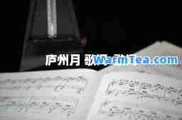 庐州月 歌词-歌词