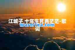 江城子 十年生死两茫茫-歌词 江城子 十年生死两茫茫-歌词