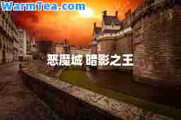 恶魔城 暗影之王