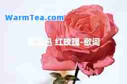 陈奕迅 红玫瑰-歌词