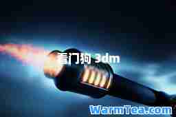 看门狗 3dm
