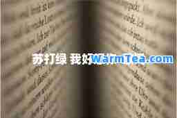 苏打绿 我好想你-歌词