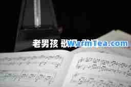 老男孩 歌词-歌词