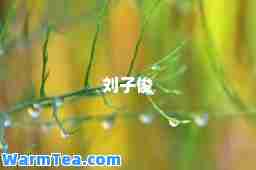 刘子俊