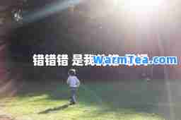 错错错 是我的错-歌词