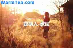 聪明人-歌词