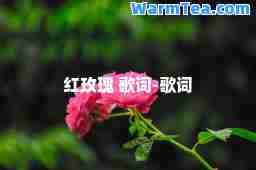 红玫瑰 歌词-歌词 红玫瑰 歌词-歌词