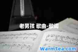 老男孩 歌曲-歌词