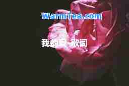我的爱-歌词