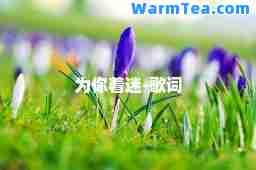 为你着迷-歌词