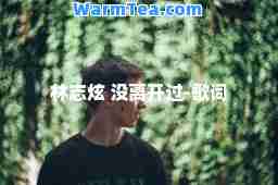 林志炫 没离开过-歌词