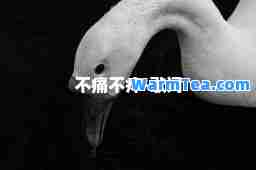 不痛不痒-歌词