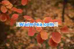 清平乐 六盘山-歌词 清平乐 六盘山-歌词