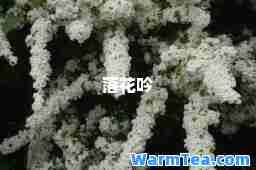 落花吟