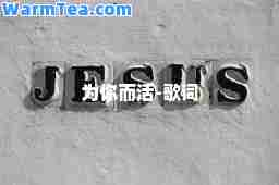 为你而活-歌词