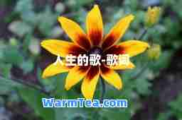 人生的歌-歌词