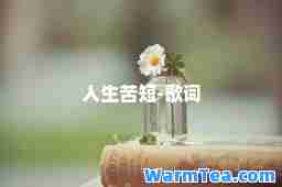 人生苦短-歌词