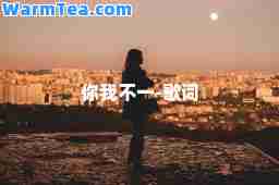 你我不一-歌词