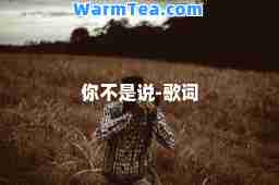 你不是说-歌词