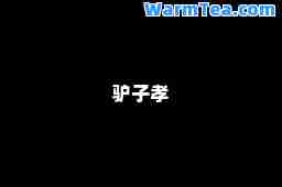 驴子孝