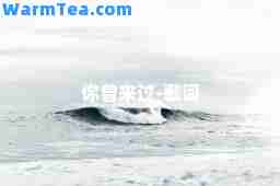 你曾来过-歌词