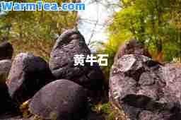 黄牛石
