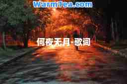 何夜无月-歌词