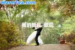 我的婚礼-歌词